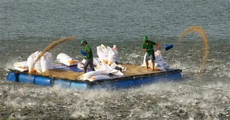 Tầm nhìn – Sứ mệnh – Giá trị cốt lõi